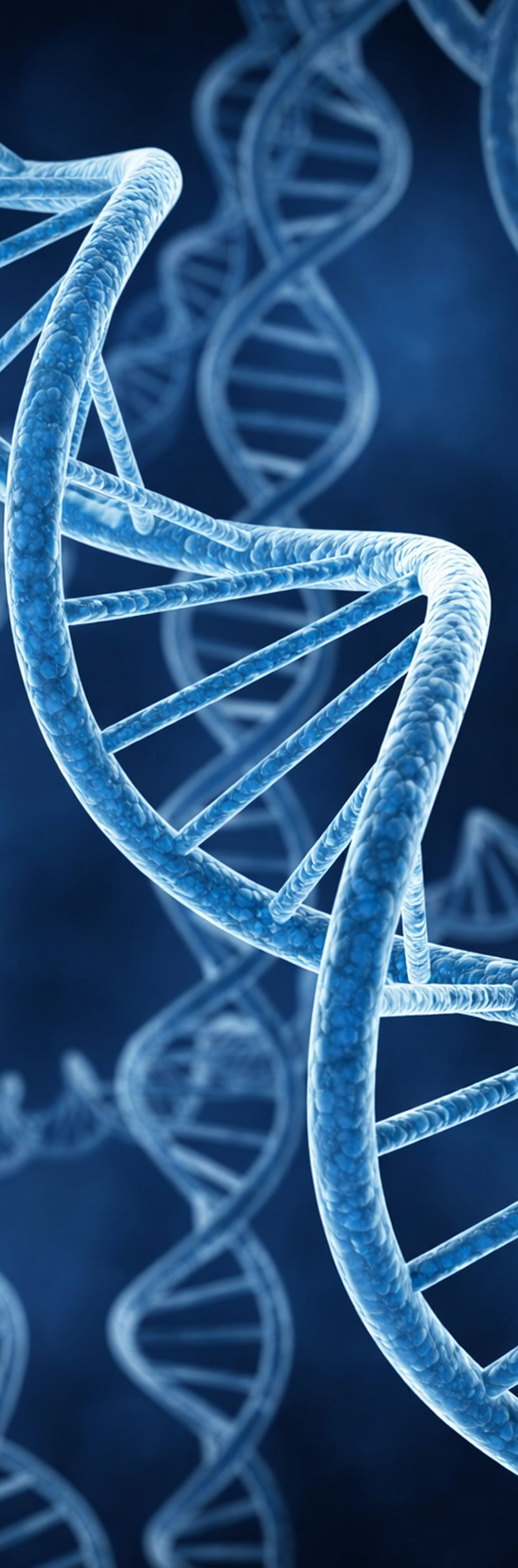 Add Your Description